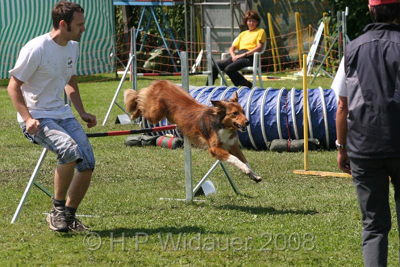 jubil.lusten. 323.jpg